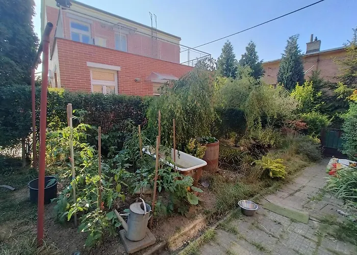En With Private Floor, 3 Bedrooms, Bathroom, Kitchenette, Host Downstairs With A Cat And 2 Small Dogs --- Cs Soukrome Horni Patro, 3 Loznice, Koupelna, Varic, Balkon - Prizemi Sdilene S Hostitelem, Kockou A 2 Malymi Psy * Zlín